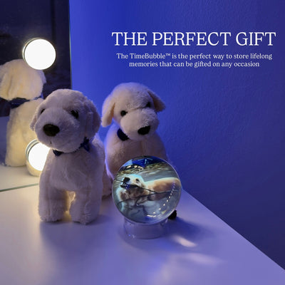 TimeBubble™